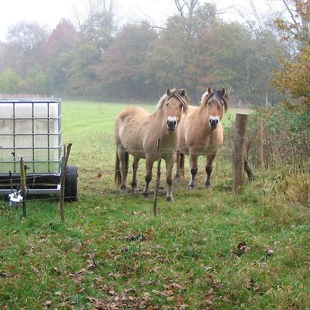 B&B De Passerel Bree Zewnętrze zdjęcie