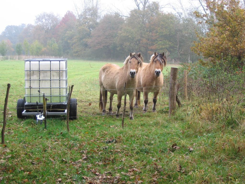 B&B De Passerel Bree Zewnętrze zdjęcie