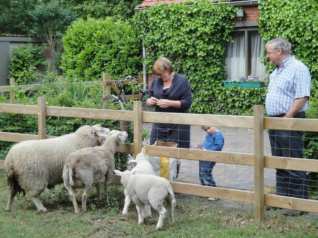 B&B De Passerel Bree Zewnętrze zdjęcie