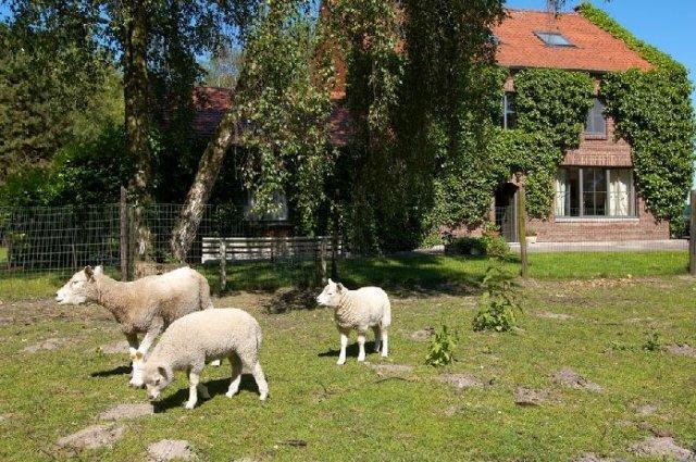 B&B De Passerel Bree Zewnętrze zdjęcie