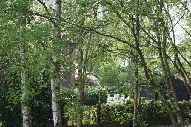 B&B De Passerel Bree Zewnętrze zdjęcie